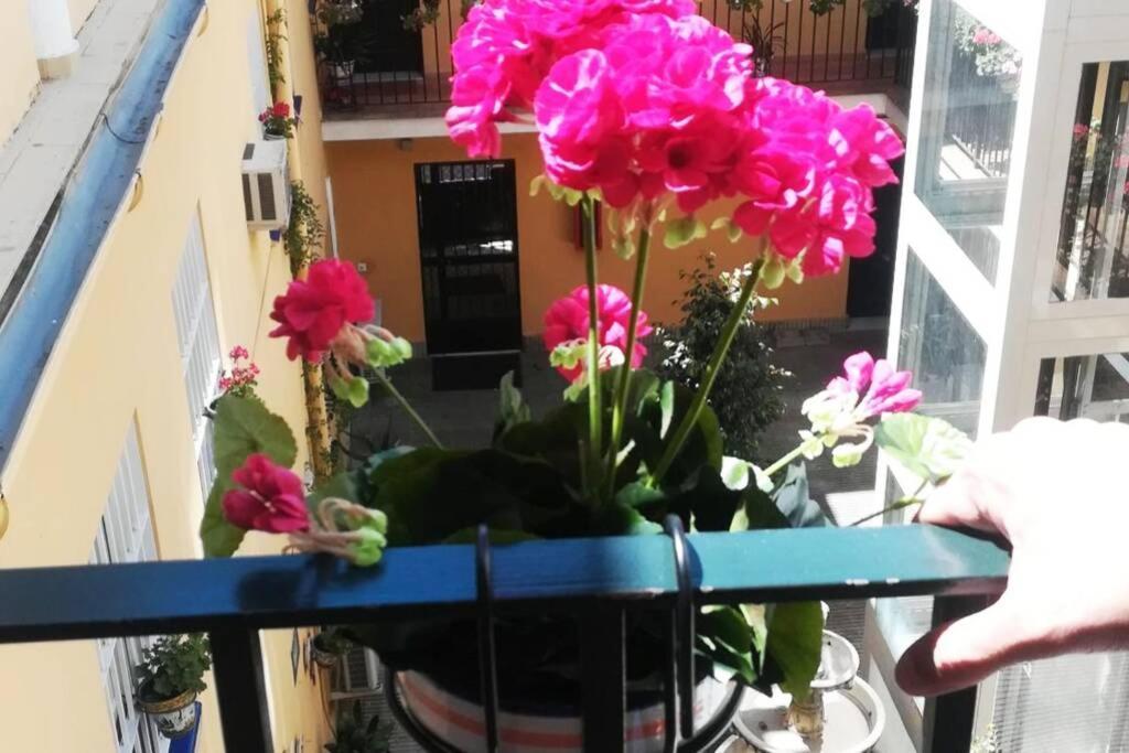 Appartamento El Patio De San Bernardo Siviglia Esterno foto
