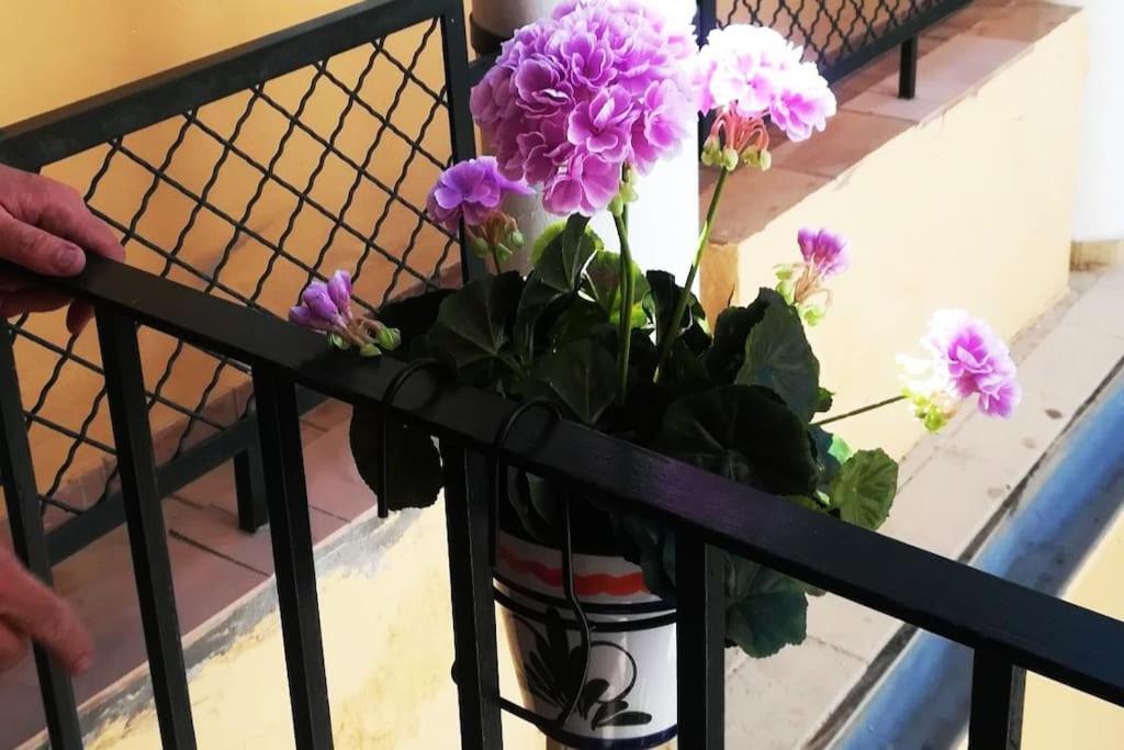 Appartamento El Patio De San Bernardo Siviglia Esterno foto
